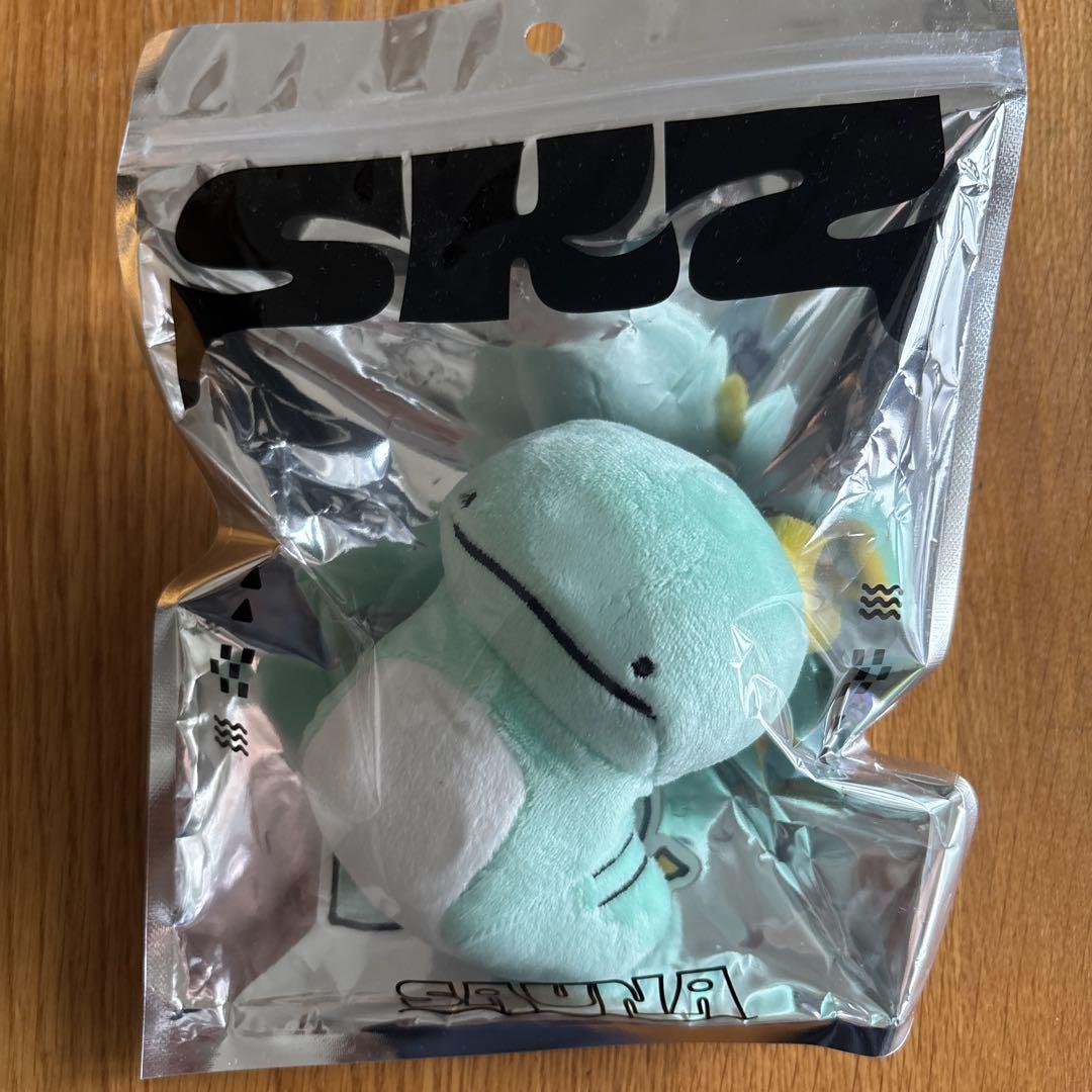 

[USED] Stray Kids Bang Chan Pop-Up Men s Pro Chanidora