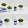 Artificial Starry Sky Hemisphere Plant Pot With Plastic Material For Wedding Decor And Indoor Garden
