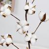 Artificial Cotton Dried Flowers: Handmade Bouquets for Home and Christmas Decoration
