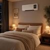 Timing Function Cooling Heating Machine Dual Use Portable Air Conditioner  Indoor Use