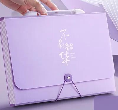 

A4 capacity folder insert transparent storage bag student specific paper organizer with large