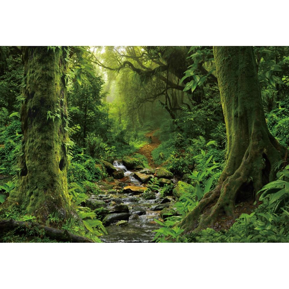Spring Forest Backdrop Tropical Jungle Rainforest Backdrops for Photography Camping Adventure Birthday Background Photo Studio