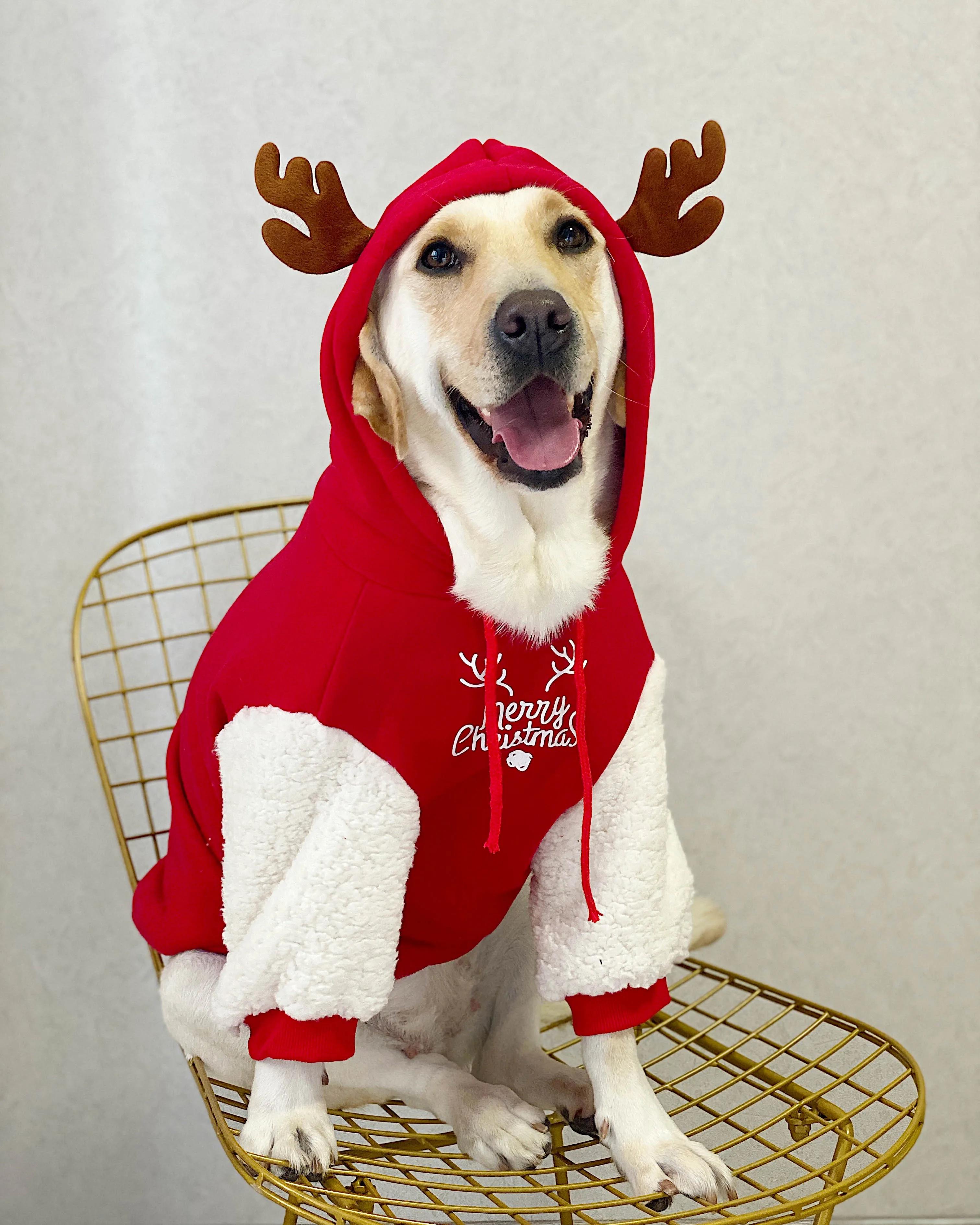 

Pet Dog Clothes Winter Warm Cotton Plus Velvet Christmas Deer Sweatshirt Large Dog Golden Retriever Labrador Pet Products 7(12-16KG)