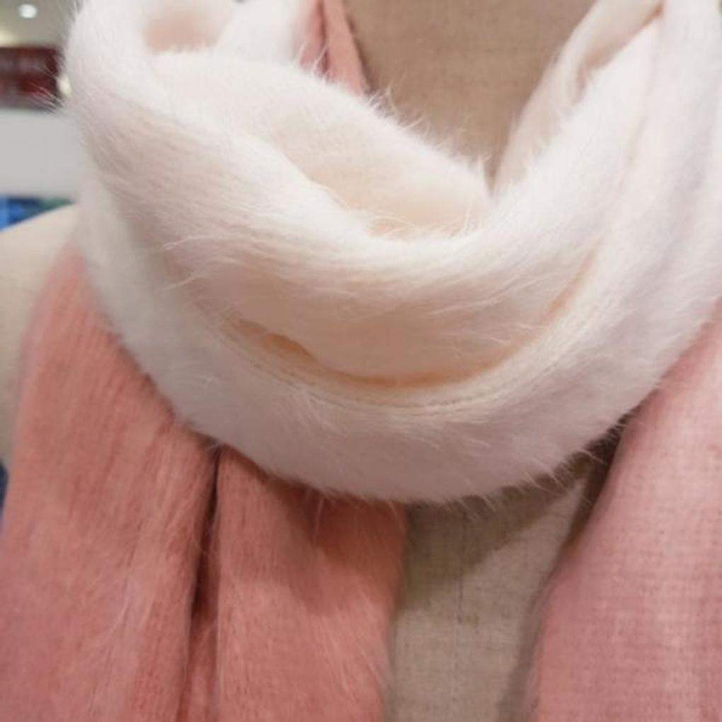 Ensemble Muffler E20S2HF101