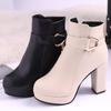 Autumn Winter New Fashionble Women's Boots Round Toe High Heels Zipper Casual Female Shoes Banquet Party Ladies Ankle Boots