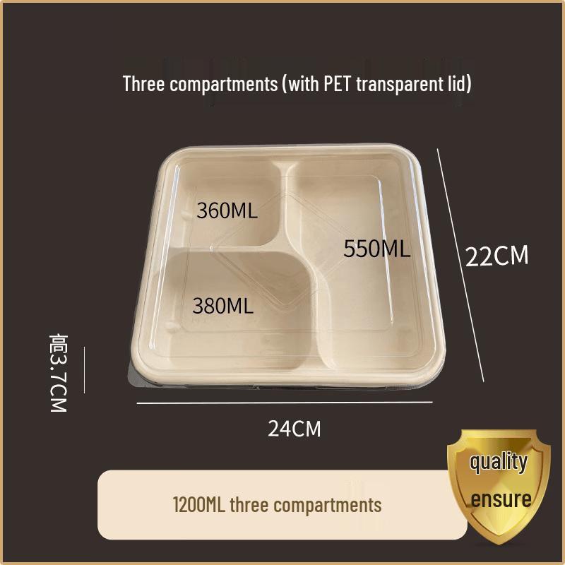 

Disposable 3-Compartment Pulp Meal Prep Containers with PET Lids