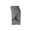 Jordan Casual Shorts Men's Gray Moderate AQ3116-091