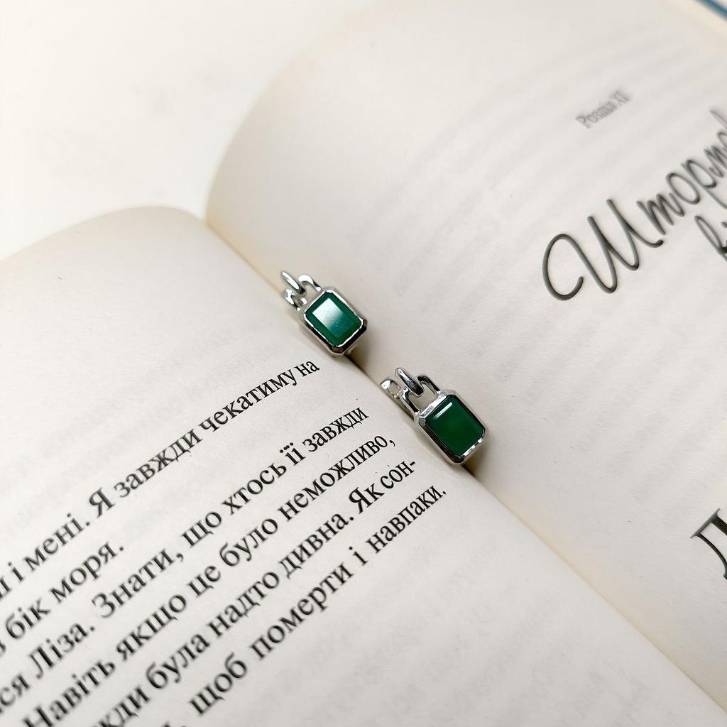 Silver Earrings with Natural Agate 2.938ct (2174059)