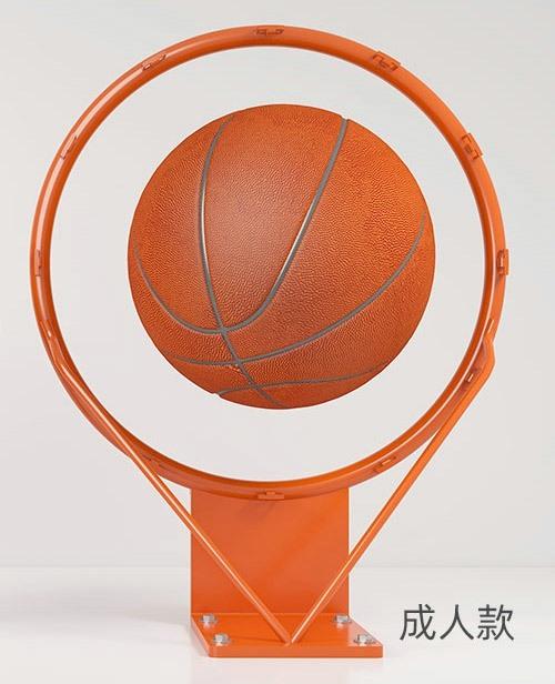 Basketball Frame Without Punching Adult Standard Hoop Children'S Wall Mounted Indoor Shooting Rack Outdoor Portable Household