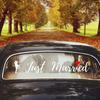 Removable Wedding Car Decals Just Married Vinyls Stickers For Bridal Shower Party Home Decorations Window Murals Gift