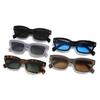 2023 Trendy European & American Small Frame Street Style Sunglasses