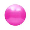 YTYIN Thickened PVC Yoga Pilates Fitness Ball Set CN plug (adapter included)
