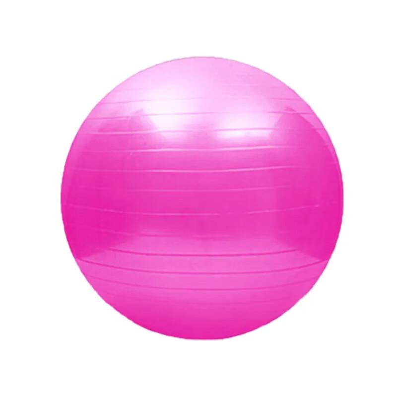 YTYIN Thickened PVC Yoga Pilates Fitness Ball Set CN plug (adapter included)