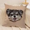 Cute Naughty Cats Dogs Cushion Cover Soft Plush DoubleSided Printed Sofa Pillow Cushion Cover  AllSeason Durable Decor Gift
