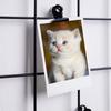 Grid Metal Wall Board For Photos, Notes, Notes, Black Clips