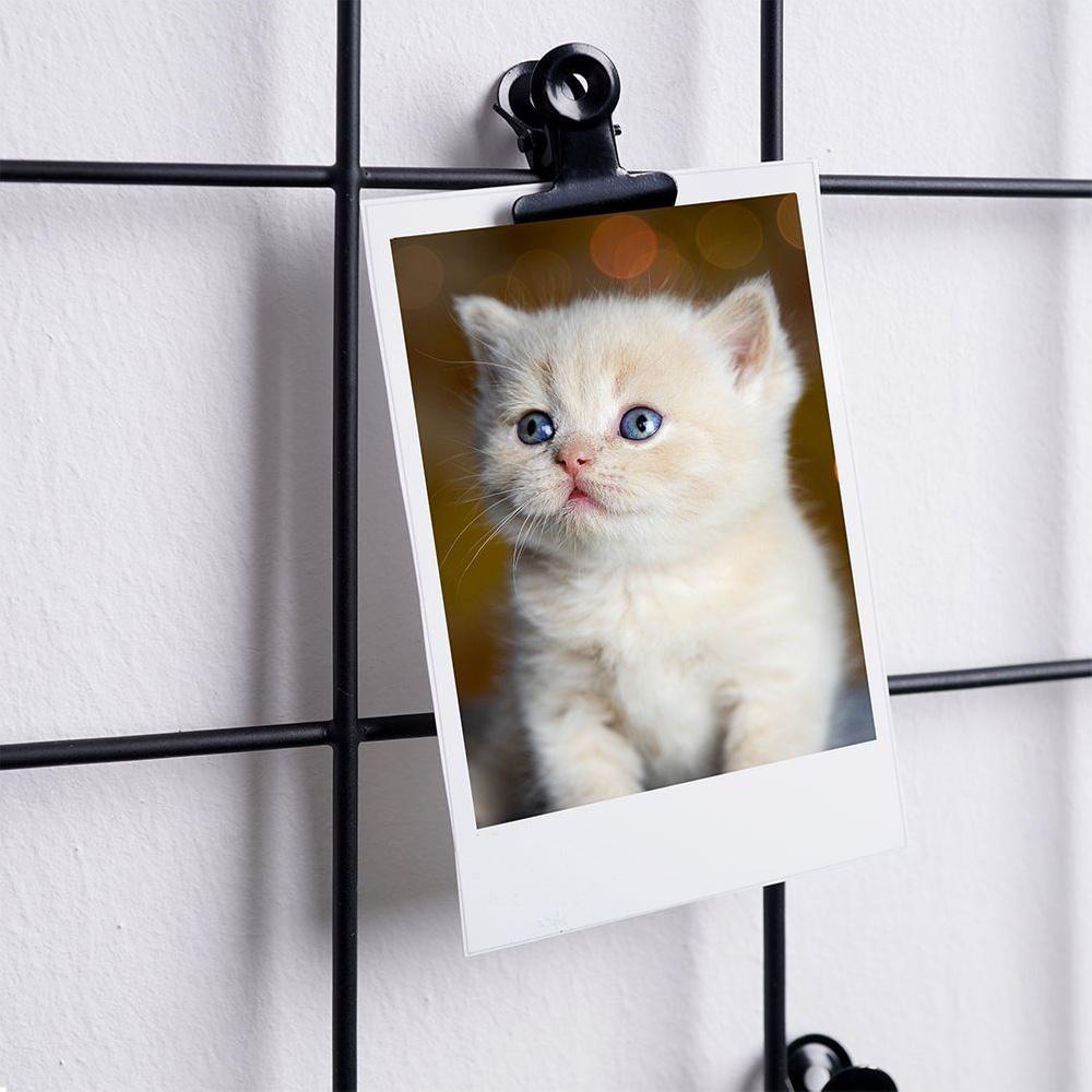 Grid Metal Wall Board For Photos, Notes, Notes, Black Clips
