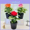 Konstgjord rosplanta Inredning inomhus Med sidenväv för vardagsrum och matplats