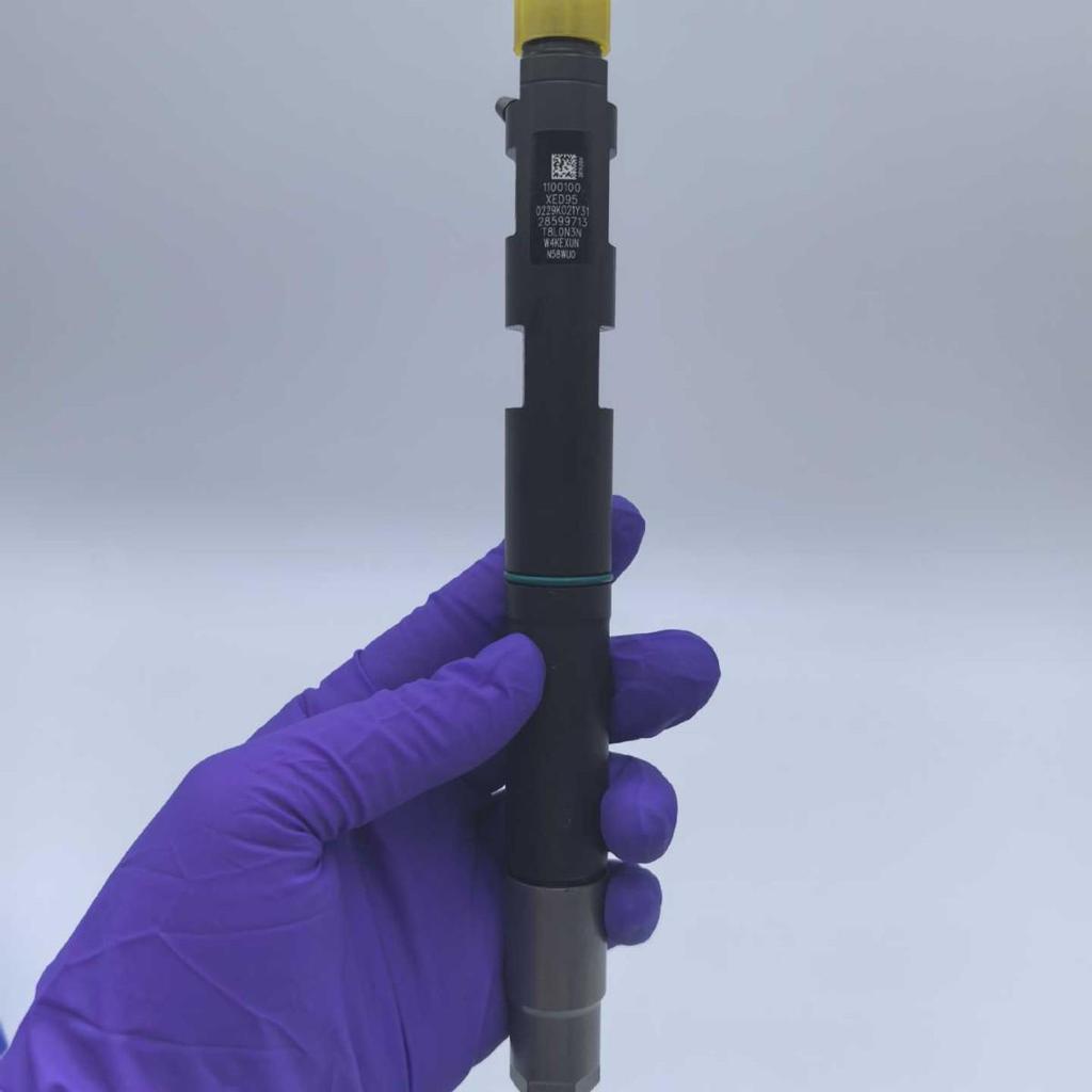 High-Quality Common Rail Injector for Engine 28599713
