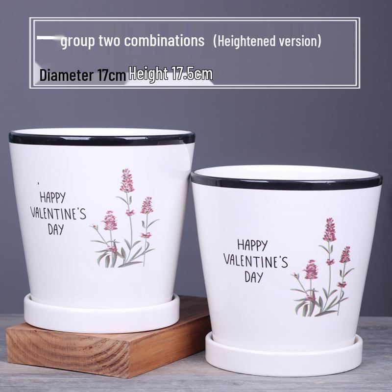 2025 Large Ceramic Flower Pot with Tray for Balcony & Living Room - Orchid & Succulent Album Style