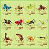 Fangcheng Children's Educational Insect Model Building Set: Butterfly, Scorpion & Centipede Puzzle Toy