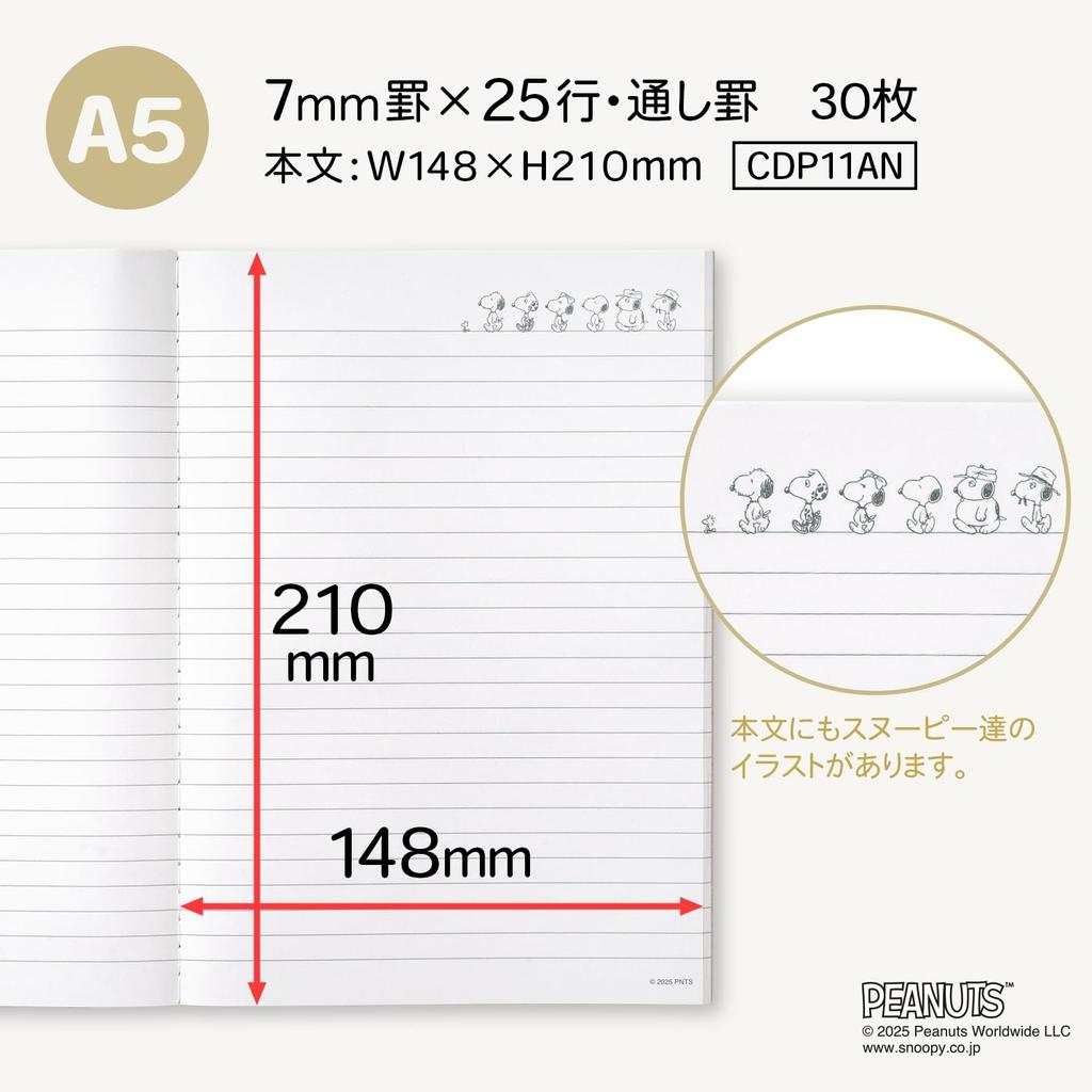 Apica Notebook CD Notebook PEANUTS COPY Andy A5 Set CDP11AN5T 5-Piece