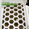 Turtle Egg-Laying Pond & Incubation Box with Basking Platform and Sand Pool