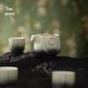 Nanshan Portable Travel Tea Set with Quick Cups