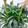 Plant Support Clips for Climbing Plants Reusable Gentle Plant Ties Garden Vine Support Clips for Indoor Outdoor Gardening or Plant Organization