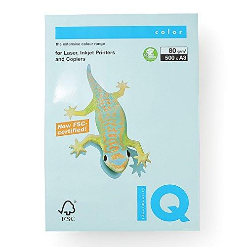 

Bio Top Color Blue A3/80g 500T