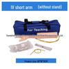 Multifunctional Venipuncture and Injection Training Arm