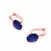 Purple Gold-Plated Rose Gold Inlaid Oval Egg Surface Bluestone Earrings Fashion Temperament Earrings