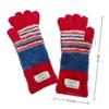Warm Girl Knitted Gloves Plush Touch Screen Gloves Korean Five-fingered Gloves