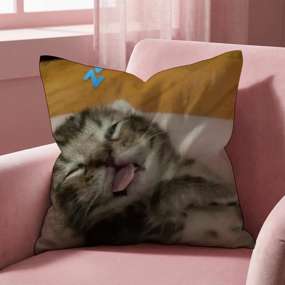 memes1 Cushion Cover Multi-Scene Pillow Cover for Home & Car - Reversible, Soft & Durable for Daily Use