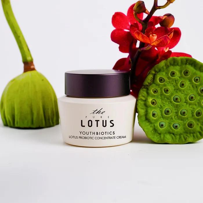 Crème Concentrée Ferment de Lotus YouthBiotics