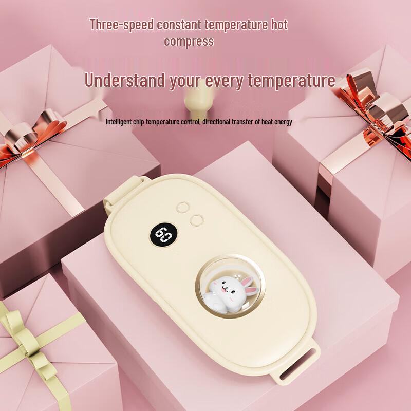 Misida Abdominal Heating Pad & Thermos Gift Set CN plug (adapter included)