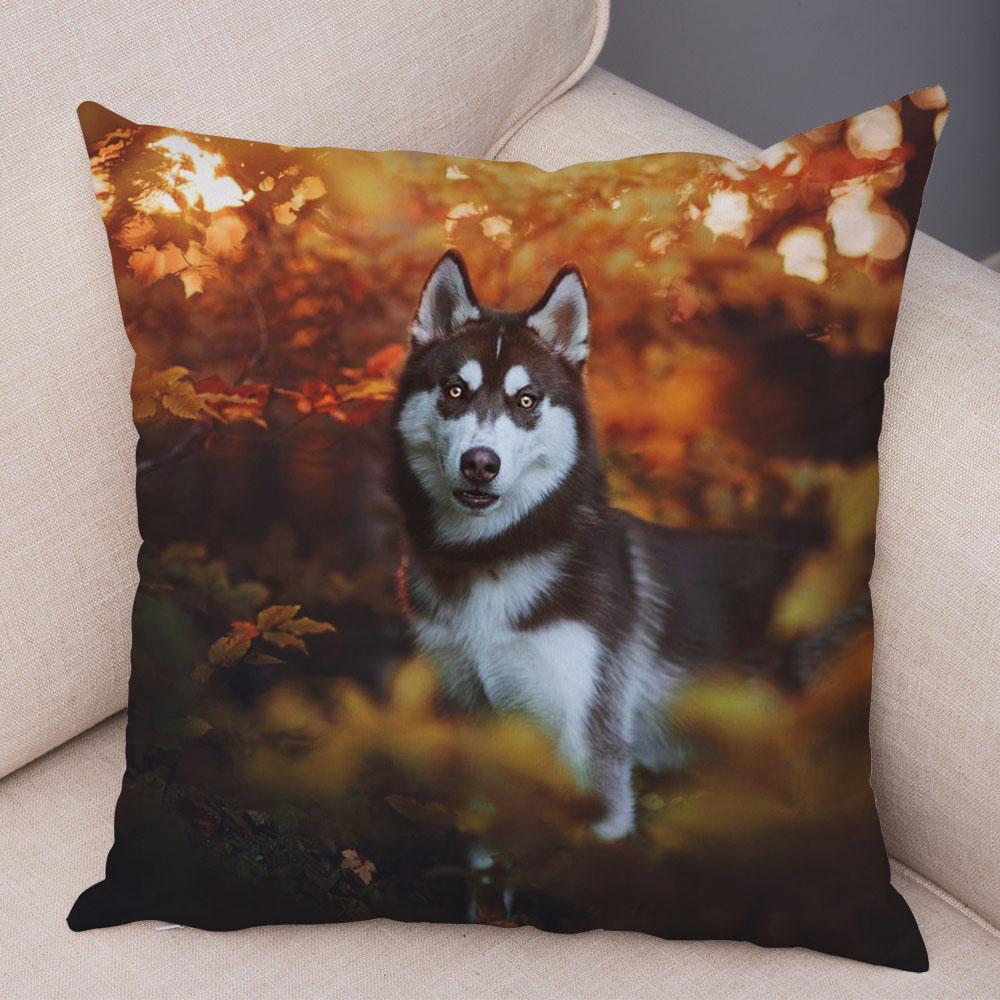 Decor Cute Siberian Husky Pillowcase Pet Dog Printed Super Soft Short Plush Pillow Case 45*45cm Animal Cushion Cover for Sofa
