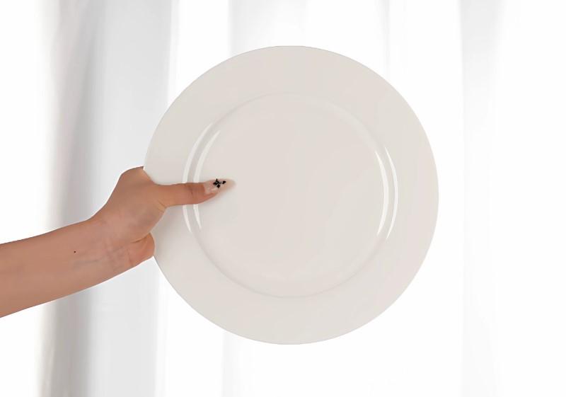 10 inch, pure white bone china fruit platter, porcelain plate dinner, japanese sushi plates, tableware and white