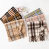 New Autumn and Winter Maillard Scarf Light Luxury and High End Korean Style Tassel Fashion Versatile High End Warm Scarf