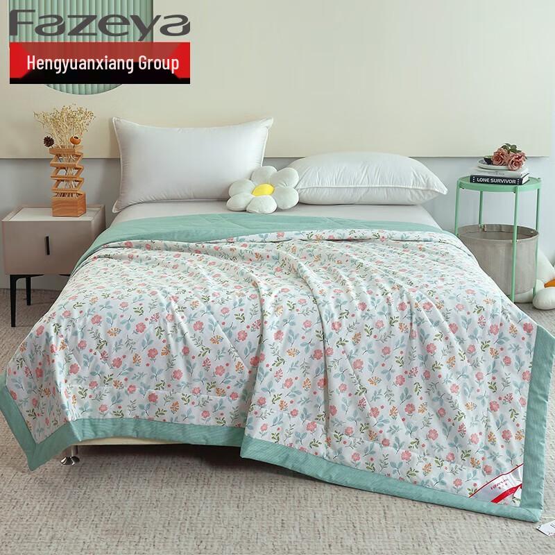 

Caiyang Hengyuanxiang All-Cotton Summer Quilt