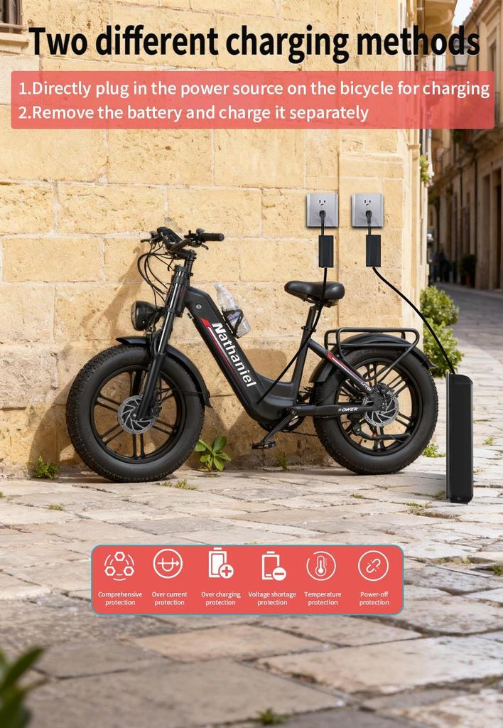 Nathaniel's New SYR08 Outdoor Electric Bike, Dual Motor 2000W, 20x4.0 Integrated Wheels, 48V20AH, Speed 50+, Snow/sand Outdoor Bike