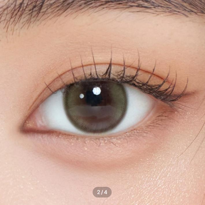 Demeter 13.5 One Day Olive Green