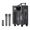 Newman A8 Portable Bluetooth Trolley Speaker with Dual Mics CN Plug (adapter Included)