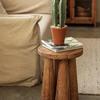 Three-Stem Artificial Cereus Bonsai for Indoor Decor