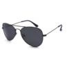 Vintage Classic Photochromic Sunglasses Women Men's Travel Sunglasses Outdoor Driving Sunglasses Wholesale