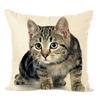 Cute Throw Pillow Case Cushion Fahion Bed  Cover