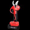 Belton Cordless Pruning Shears with Telescopic Pole