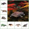 Realistic Artificial Tortoise Vinyl Turtle Model Lifelike Reptile Model  Fish Tank