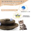 Kitty Kurlz Foldable Cat Interactive Toy for Indoor Pet Cat Scratching Toy with Magic Organ Cat Scratching Accordion Cat Yellow Scratcher, Cats, Bell,