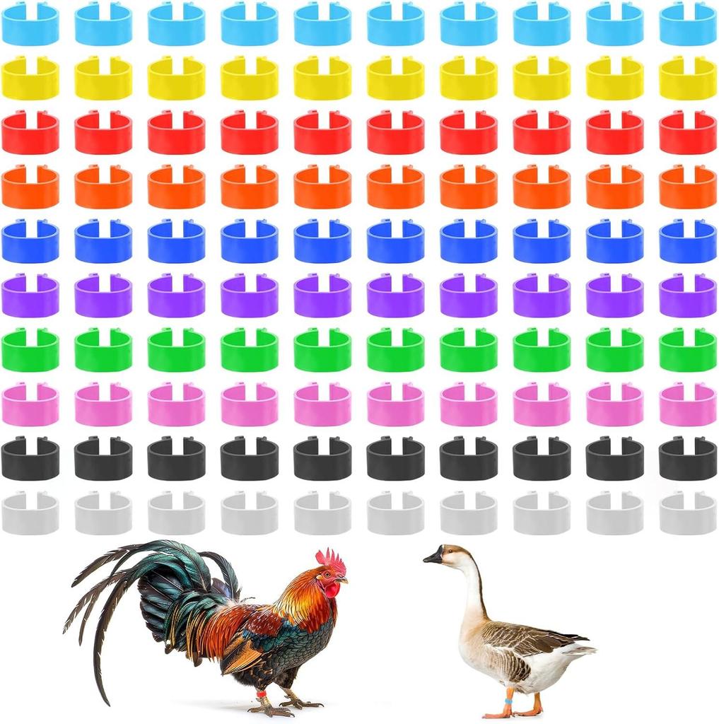 16mm Multi-color Numbered Chicken and Duck Identification Foot Ring