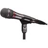 Audio-Technica AE6100 Dynamic Microphone XLR Ultra Unidirectional Microphone Vocal Live DTM Micro...